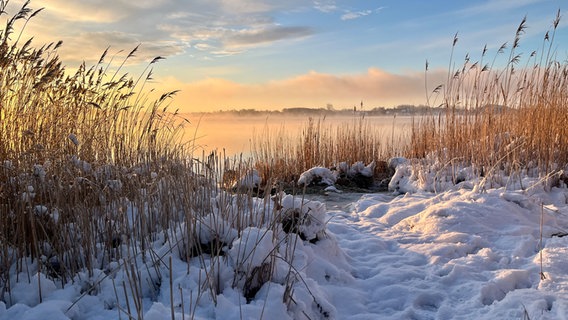 Frühnebel über der Schlei bei Schnee am Morgen. © Maresa Fintzen Foto: Maresa Fintzen