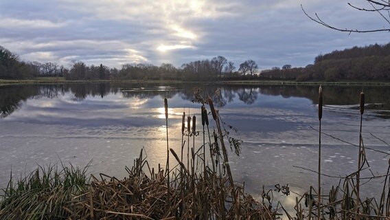 Sonnenstrahlen suchen ihren Weg durch eine dichte Wolkendecke über Schilksee. © Maike Deichsel Foto: Maike Deichsel