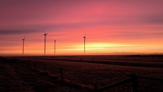 Rosaner Himmel bei Sonnenaufgang über einem Windpark. © Tore Glöyer Foto: Tore Glöyer