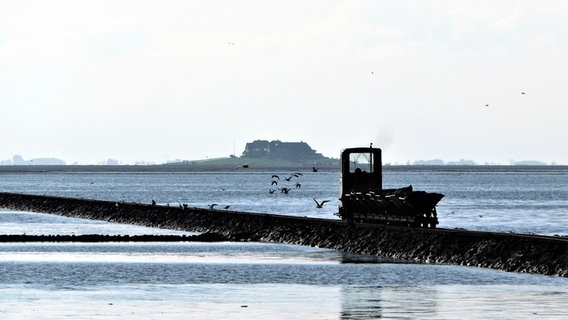 Eine Lore ist auf dem Lordendamm zwischen Nordstrandischmoor und dem Beltringharder Koog unterwegs. © Cordula Sönnichsen Foto: Cordula Sönnichsen