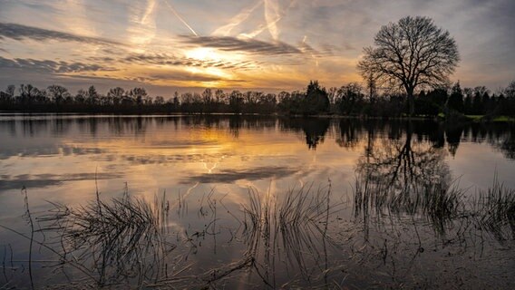 Überflutete Wiesen bei Tornesch mit Reflexion vom Sonnenuntergang. © Silke Pokrandt Foto: Silke Pokrandt