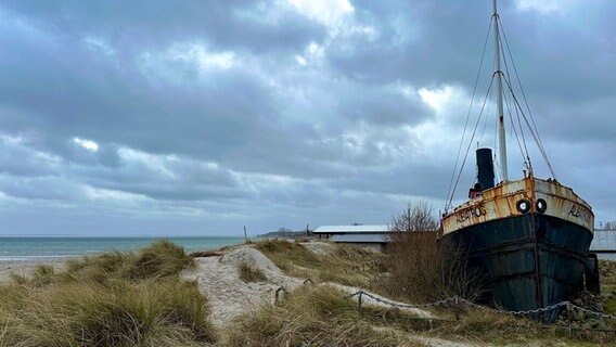 Ein altes Schiff liegt am Strand von Damp. © Freya von Eckardstein-Kirchhoff Foto: Freya von Eckardstein-Kirchhoff