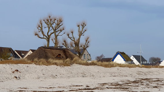 Einige Reetdachhäuser stehen an einem Ostseestrand hinter einer Düne. © Heike Norda Foto: Heike Norda