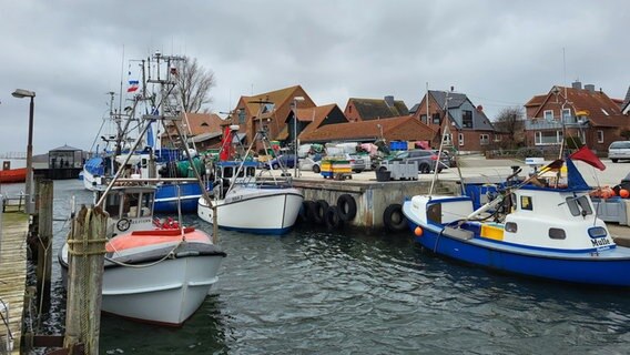 Viele Bunte Boote und Schiffe liegen im Hafen von Maasholm. © Regina Truelsen Foto: Regina Truelsen