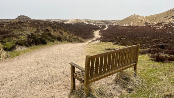 Eine Bank in der Dünenlandschaft von Sylt. © Line Jensen Foto: Line Jensen