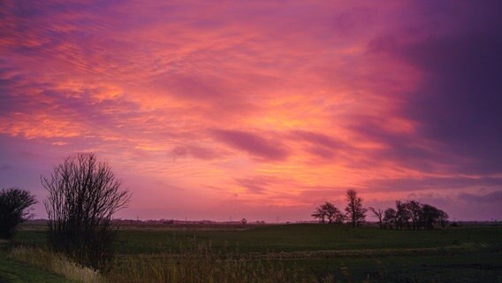 Ein farbenfroher Sonnenaufgang über einem Feld. © Christa Mantel Foto: Christa Mantel