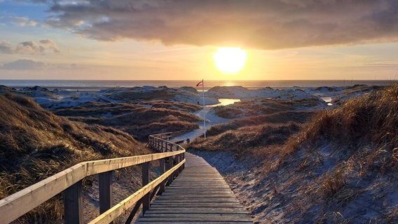 Die Dünenlandschaft von Amrum im Nebel mit Blick auf das Meer und die Sonne. © Ulrike Krüger Foto: Ulrike Krüger