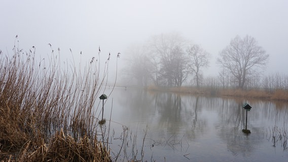 Nebelschwaden ziehen über den Brodauer Weiher. © Klaus Erlwein Foto: Klaus Erlwein