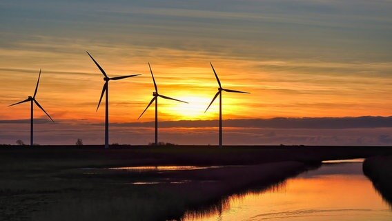 Sonnenuntergang über der Nordsee hinter mehreren Windrädern. © Claus Carstens Foto: Claus Carstens