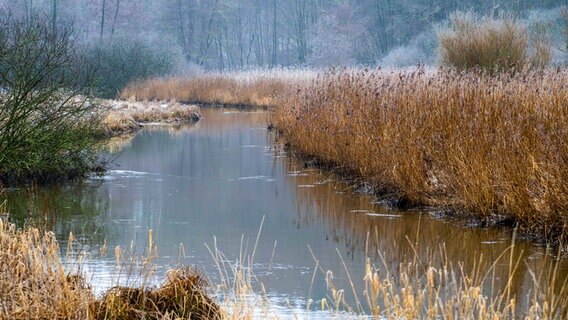 Winterliche Stimmung an einem Fluss bei Techelsdorf. © Ralf Gosch Foto: Ralf Gosch