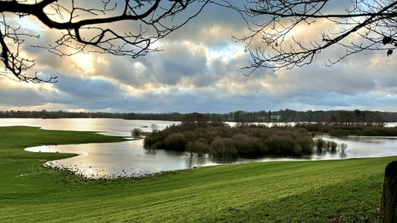 Der Bothkamper See bei strahlendem Sonnenschein, umgeben von einer grünen Wiese. © Asmus Clausen Foto: Asmus Clausen