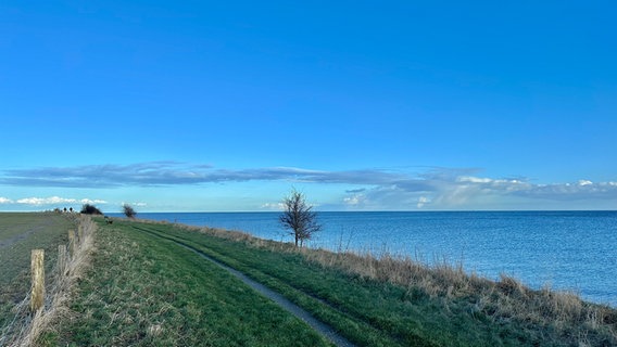 Der Ausblick von der Steilküste auf das Meer bei blauem Himmel. © Freya von Eckardstein-Kirchhoff Foto: Freya von Eckardstein-Kirchhoff