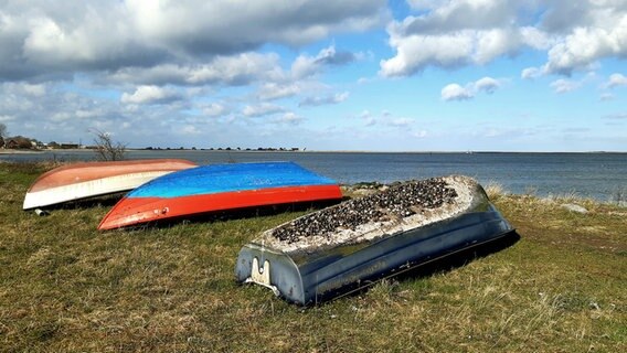 Drei Boote liegen umgedreht am Strand vor der Ostsee. © Artur Hopp Foto: Artur Hopp