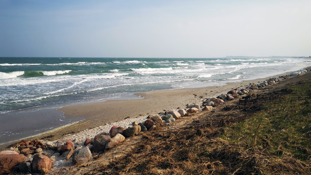 Ostseeschutz in SH: So sollen weniger Düngemittel im Meer landen