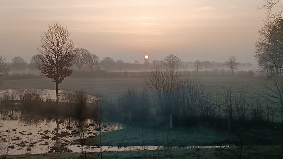 Der Sonnenaufgang über einem Moor bei Hochnebel. © Steffi Wiechern Foto: Steffi Wiechern