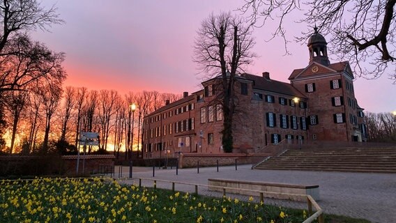 Das Eutiner Schloss von außen mit Sonnenaufgang hinter einer Reihe Bäume. © Viola Stark Foto: Viola Stark