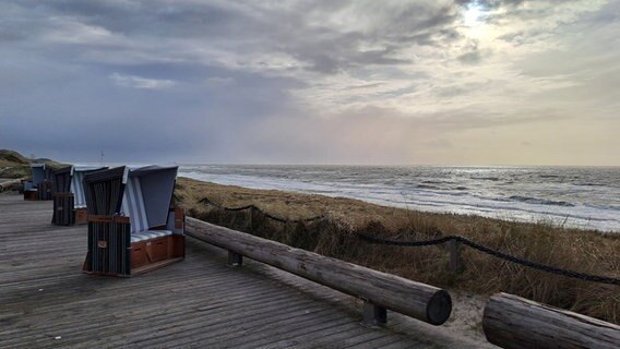 Strandkörbe stehen in der Abendsonne an einem Nordseestrand. © Andrea Möller Foto: Andrea Möller