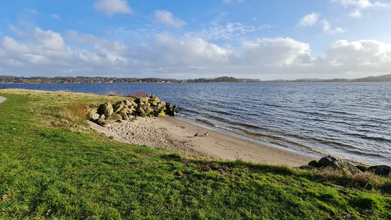 Ein Stockentenpaar auf dem Weg in die Schlei. © Elisabeth Jaxa Foto: Elisabeth Jaxa