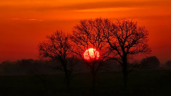 Roter Sonnenaufgang über Gelting. © Birgit Instenberg Foto: Birgit Instenberg