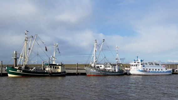 Drei Schiffe liegen im Hafen von Schlüttsiel. © Cordula Sönnichsen Foto: Cordula Sönnichsen