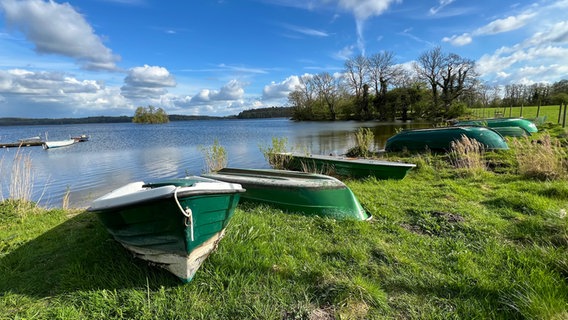 Grünfarbene Boote liegen am Ufer eines Sees bei sonnigem Wetter. © Norbert Schmäling Foto: Norbert Schmäling