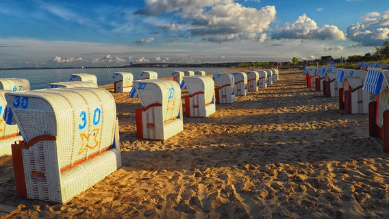 Strandkörbe stehen in mehreren Reihen am Meer. © Hans-Otto Klies Foto: Hans-Otto Klies