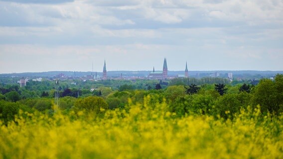 Blick über einen Wald und eine Kirche am Pariner Berg. © Malte Kühl Foto: Malte Kühl