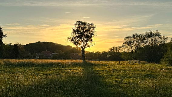 Abendstimmung einer Feldlandschaft. © Cornelia Krohne Foto: Cornelia Krohne