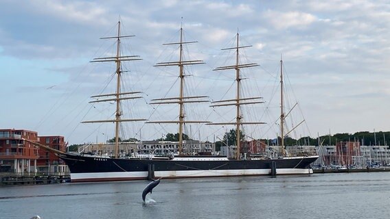 Delfin Delle springt im Lübecker Hafenbecken vor dem Selegschiff Passat bei herrlicher Abendstimmung. © Anna Holst Foto: Anna Holst
