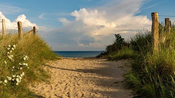 Blick aufs Meer über die Dünen am Strand von Grömitz bei Abendsonne. © Britta Hillewerth Foto: Britta Hillewerth