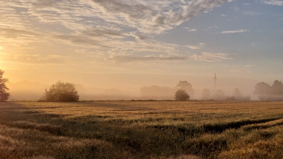 Nebel bei Sonnenaufgang über den Feldern. © Christina Tornau Foto: Christina Tornau