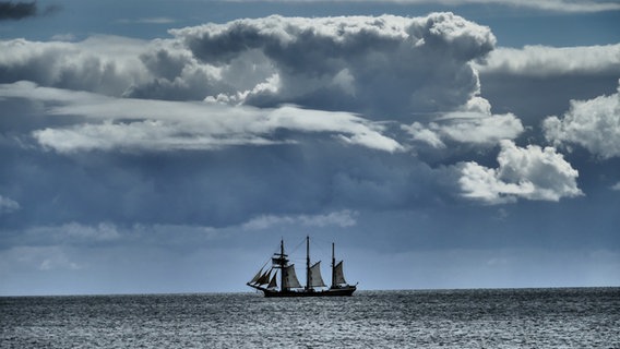 Das Segelschiff Thor Heyerdahl schwimmt auf dem Meer unter großen Wolken. © Raphael Deusing Foto: Raphael Deusing