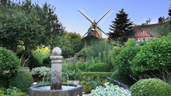 Die Mühle in Wyk auf Föhr. © Astrid Zierke Foto: Astrid Zierke