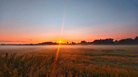 Sonnenaufgang über den Auwiesen in Gleschendorf (Ostholstein) © Kai Soomann Foto: Kai Soomann