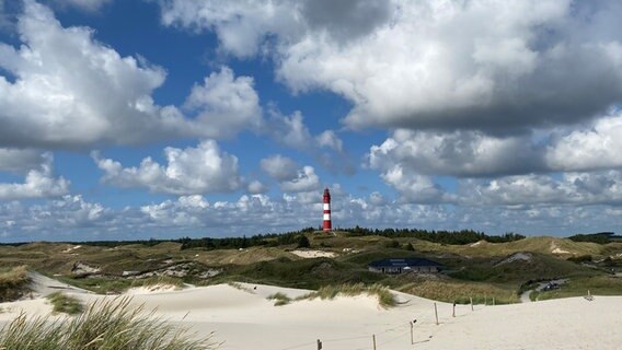 Der von Dünen umgebene Amrumer Leuchtturm. © Wilfried Forthmann Foto: Wilfried Forthmann