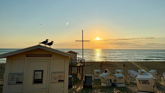 Zwei Möwen sitzen bei Sonnenuntergang auf einem Strandhaus. © Cornelia Göricke-Penquitt Foto: Cornelia Göricke-Penquitt