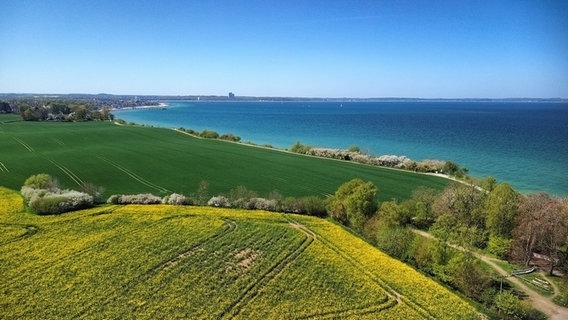 Blick auf die Ostsee vom Brodtener Steilufer. © Patricia Schulz Foto: Patricia Schulz