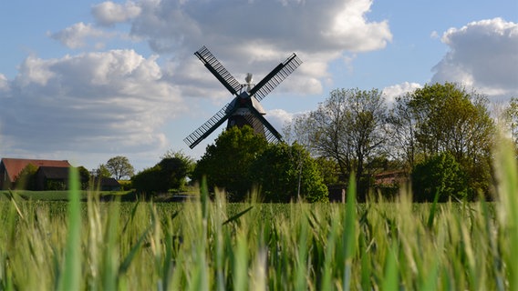 Die Langenrader Windmühle. © Jutta Voß Foto: Jutta Voß