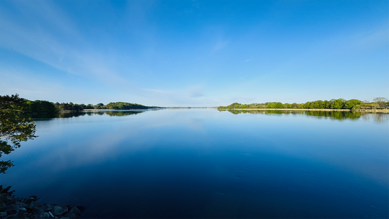 Die Schlei bei Lindaunis. © Tim Heemsoth Foto: Tim Heemsoth