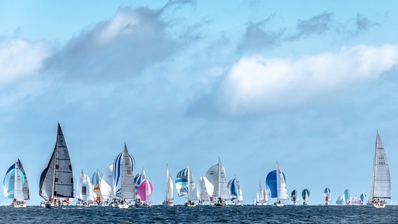 Viele Segelboote befinden sich auf dem Meer. © Mario Neu Foto: Mario Neu