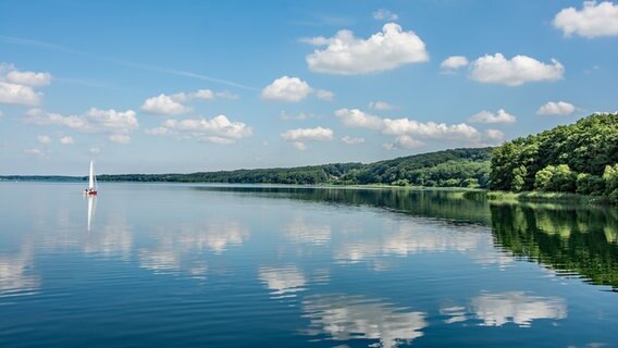 Im Ratzeburger See spiegeln sich die Uferböschung und ein Segelboot. © NDR Foto: Holger Legenhausen