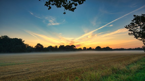 Die Morgendämmerung auf einem Feld bei Niebüll. © Reinhard Wehrenbrecht Foto: Reinhard Wehrenbrecht