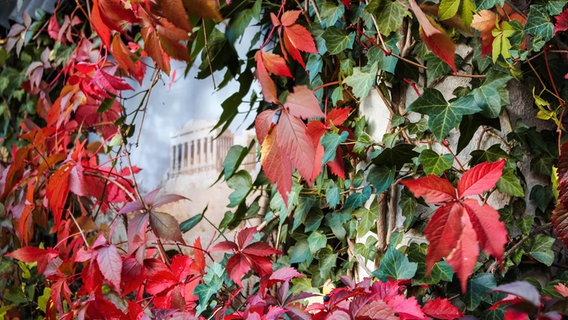 Grüne und rote Herbstblätter verdecken einen alten Gasthof. © Marlies Wiedenhaupt Foto: Marlies Wiedenhaupt