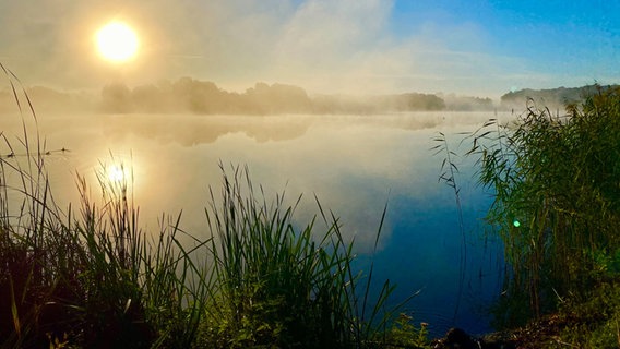 Das Bild zeigt eine Aufnahme des Bordesholmer Sees, über dessen Oberfläche der Nebel hängt. Die Sonne strahlt auf die Wasseroberfläche und die Bäume am Ufer spiegeln sich im Wasser. © Astrid Stoltenberg Foto: Astrid Stoltenberg