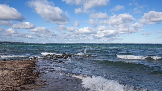 Schäumende Wellen an der Ostsee und ein Himmel mit Schäfchenwolken. © Andrea Potratz Foto: Andrea Potratz