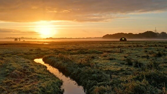 Die Sonne geht hinter nebeligen Feldern auf und spiegelt sich in der Alster. © Anja Basic Foto: Anja Basic