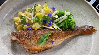 On the plate you can see a crispy fried perch © NDR 
