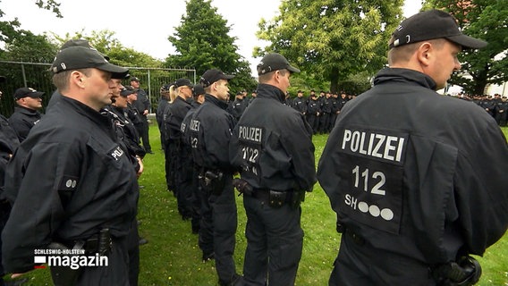 Mehrere Polizisten stehen auf einer grünen Fläche. © NDR 