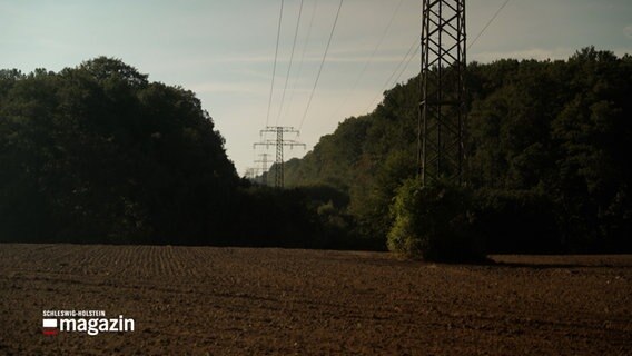 Eine Stromtrasse führt durch einen Wald. © NDR Foto: NDR Screenshots
