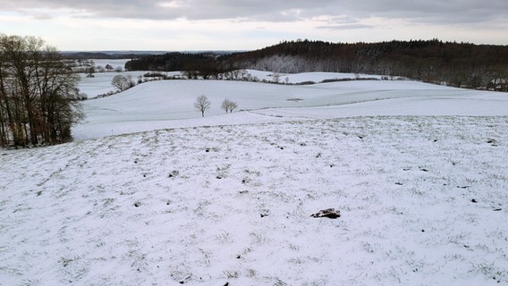 Frischer Schnee liegt auf den Hügeln bei Bungsberg in der Holsteinische Schweiz im Kreis Ostholstein. © NDR Foto: Kai Peuckert